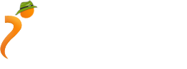 iHosting Mart (Viyu Techlab Pvt. Ltd)